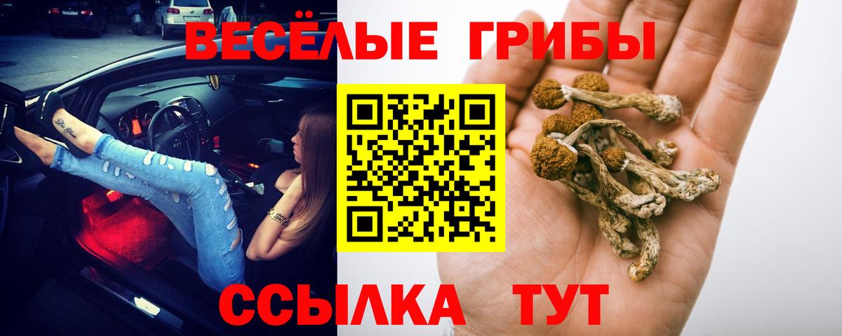 Новоалтайск  Галлюциногенные грибы Psilocybine cubensis  Галлюциногенные грибы Psilocybe  Вход с VPN 